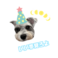 愉快な仲間たち実写版