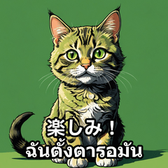 Everyday Catmosphere