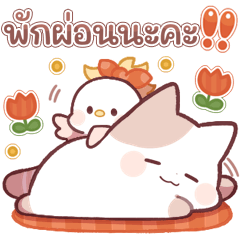น้องแมวนอนกลิ้ง สติกเกอร์ใช้ได้ทุกวัน 4