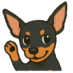 Miniature Pinscher 001