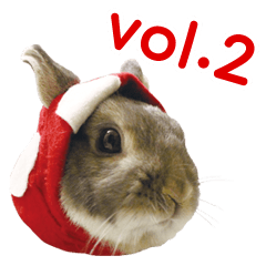 Kinoco rabbit vol.2