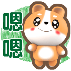 ★枇杷-最佳對話★