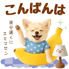 ラフな敬語の癒しチワワ