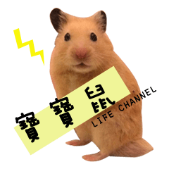 kiwi hamster's Channel