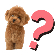 alisa_20250513203105