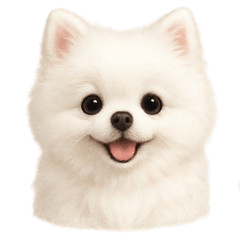 Pomeranian Stamp02