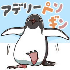 Adelie penguin's daily life