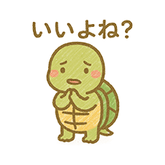 Red-eared slider turtle 2