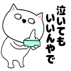 cat tibisuke6