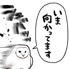 owl asking or reporting