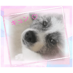 suzu_20250513210049