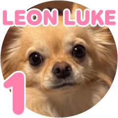 leon&luke's sticker (1)