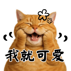 Full-Feeling Chubby Cat