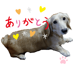 mash._20250514044115