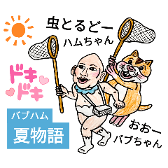 バブ ハム夏物語