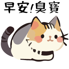 Talking Cat Ball Couple Special