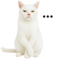 Naughty White cute Cat