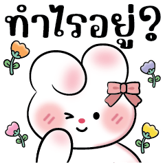 กระต่าย เนยหอม แชทน่ารัก