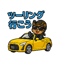 オープンカーツーリング用