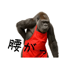 techi_20250511234331