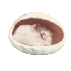 イカちゃんとしらたきちゃんスタンプ②