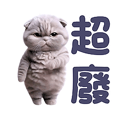 動感舞星 - 強迫營業 (藍貓HD)