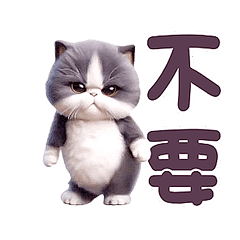 Dance Mania Animals - Tuxedo Cat (HD)