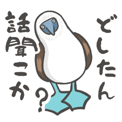 Quirky Booby:Kansai Old Man Stickers
