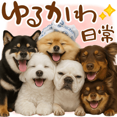 20250515dog