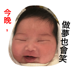 Millie 日常生活