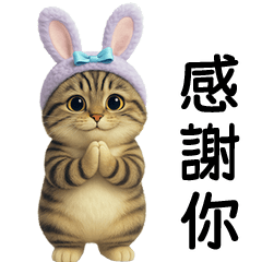 little tabby cat purrple rabbit hat [TW]