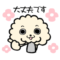 今日のぷーどるん