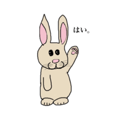 bunny talk