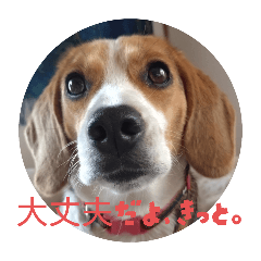 natsu_20250515161906