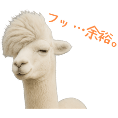 An alpaca with overly styled bangs 1