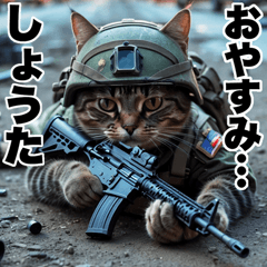 Shouta dedicated advancing cat army