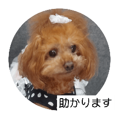 ange_20250515201553