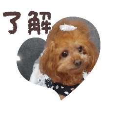 ange_20250515205527