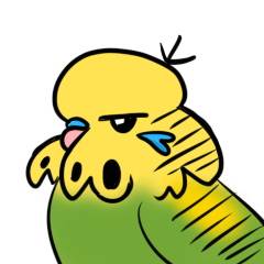 可愛いジャンボセキセイインコ