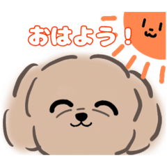 茶色いトイプーのスタンプ3