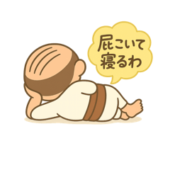 お返事専用 伝達麻酔実習用顎模型 [ANS1001]｜株式会社ニッシン｜歯科模型