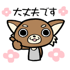 今日のちわわん