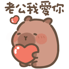 豚豚布丁♡給老公(Q水豚日常甜蜜)