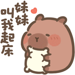 豚豚布丁♡給妹妹(Q水豚家人篇)