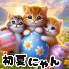 動く可愛い子猫達の初夏あいさつ