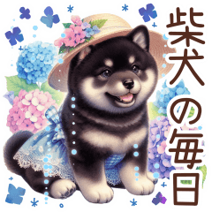 ずっと使える柴犬の日常