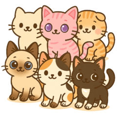 Nekotan Meowsocute V.2
