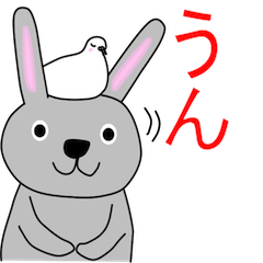 Good listener Mr.rabbit 3