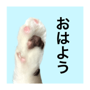 Unitna photo stamp
