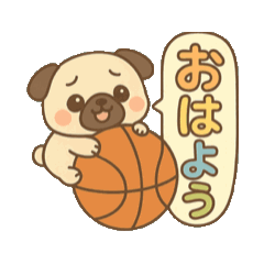 Tiny Pug  on Basketball